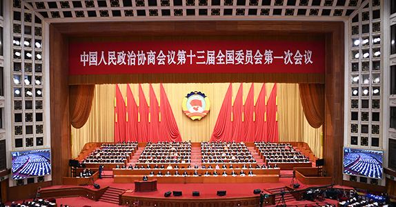 全國政協(xié)委員詹純新：企業(yè)走出去要“做主、做深、做透”