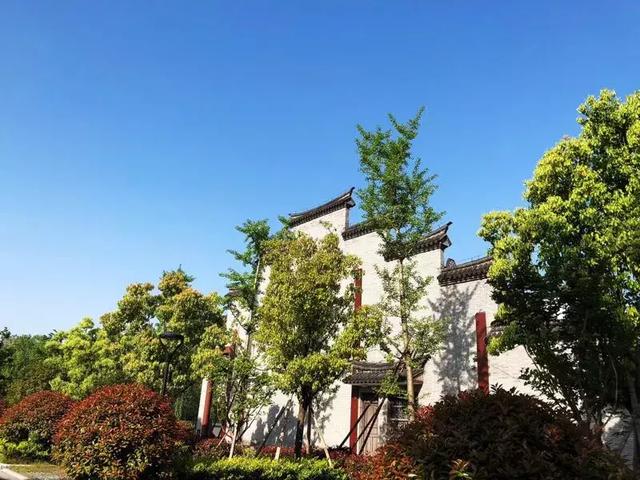 二審期間取得建設(shè)工程規(guī)劃許可證，仍可判施工合同有效！